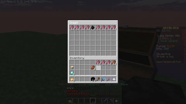 Join my (magical smp) public smp join now Java + pocket edition 24/7 online join now Minecraft smp смотреть онлайн