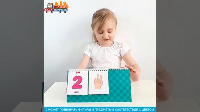 Настольная игра-календарь "Цифры и цвета" База игрушек / УД18 смотреть онлайн