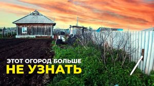 Купили заброшенный дом в деревне. Готовим огород к сезону.