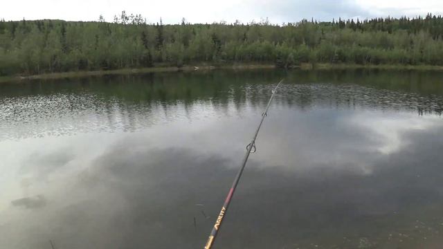 Рыбалка на старом карьере.Форель. смотреть онлайн