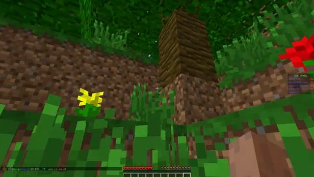 Funy World (Hanger Games) #1 смотреть онлайн