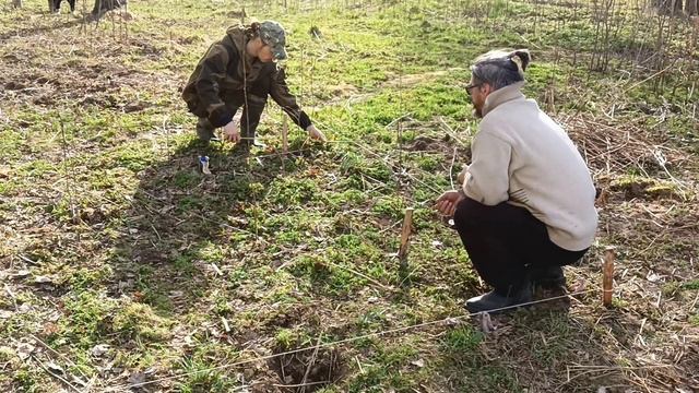 Русская печь под навесом смотреть онлайн