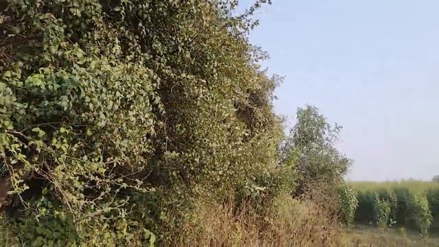 बहुत ज्यादा ही ठंड हो जा रही है कुछ काम करने का मन नहीं कर रहा смотреть онлайн