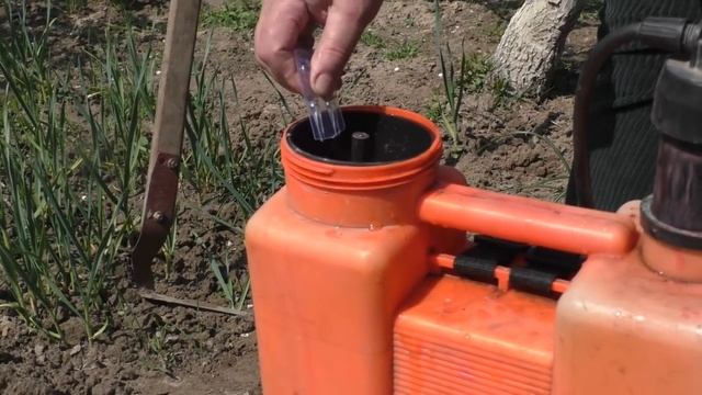 ВЕСЕННЯЯ ПОДКОРМКА КЛУБНИКИ ДЛЯ БОЛЬШОГО УРОЖАЯ. Фрукты-ягоды. Мой опыт. смотреть онлайн