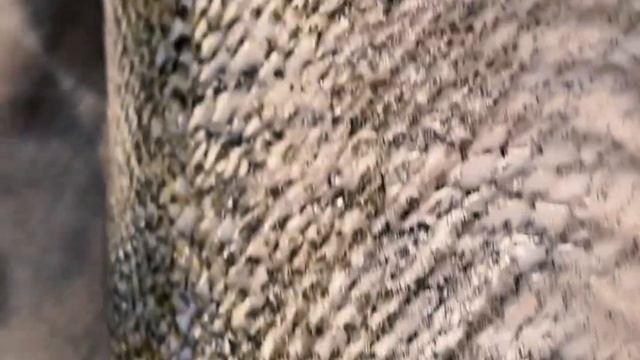 Готовим весело и со вкусом 