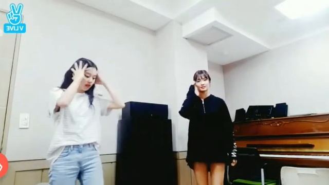 Momo and chaeyoung basic jyp dance(mirrored) смотреть онлайн