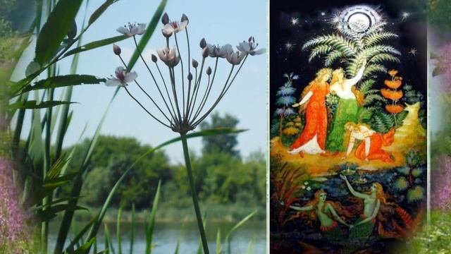 Праздник Ивана Купала! Самое лучшее поздравление! смотреть онлайн