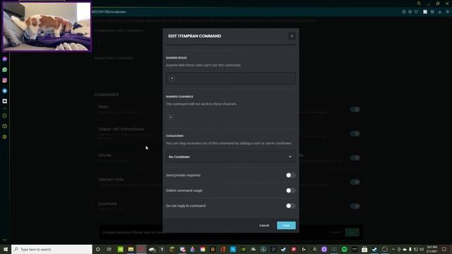 How to kick/ban members from your discord! смотреть онлайн