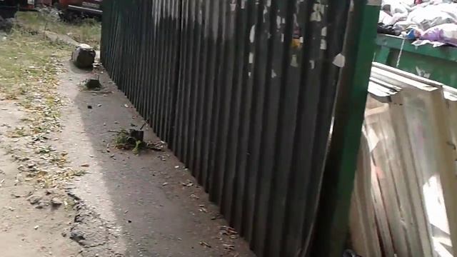 помойка!!!!!!гора мусора!тбо! смотреть онлайн