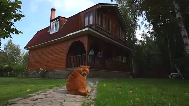 Закон о постоянной регистрации на дачах смотреть онлайн