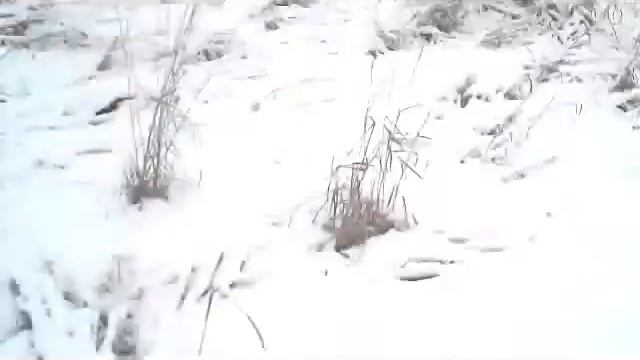 Syma X8c drone quadcopter crashes into the snow (short video) смотреть онлайн