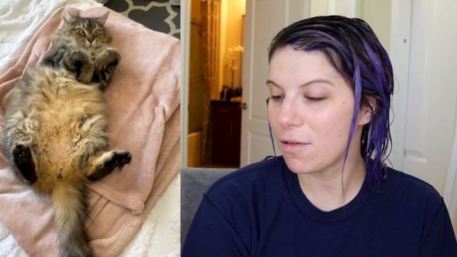 Testing PURPLE SHAMPOO on yellow/brassy hair... SHOCKING RESULTS! *must see* смотреть онлайн