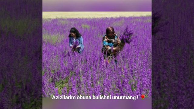 Tushda MASHHUR, TANİQLİ Inson Kursa Nima Bo'ladi❓