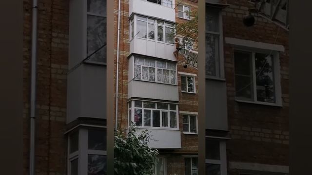 Если ты смелый, ловкий, умелый - джунгли тебя зовут Или обычный день в Красном Сулине смотреть онлайн