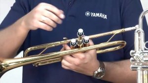 Строение трубы и уход за ней