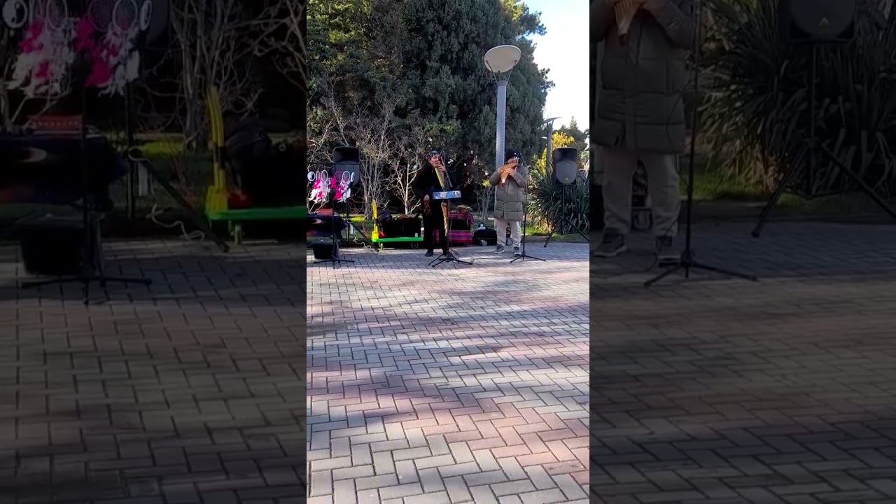 уличные музыканты в Геленджике. смотреть онлайн