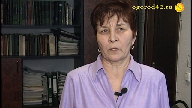 Вредитель поражает фасоль и гладиолусы смотреть онлайн