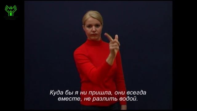 (025) Не разлить водой. Словарь лексики русского жестового языка смотреть онлайн