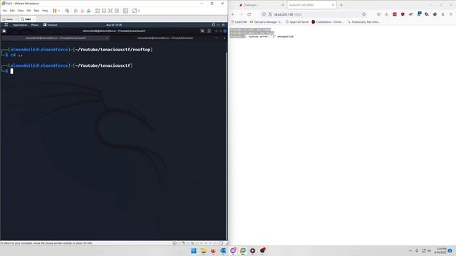 T3N4CI0US CTF 2022: Check Check Check смотреть онлайн