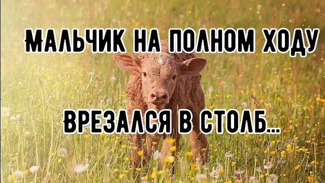 ЭТО ДЕЙСТВИТЕЛЬНО УЖАСНО....☹️МАЛЬЧИК НА ПОЛНОМ ХОДУ ВРЕЗАЛСЯ В СТОЛБ.... смотреть онлайн