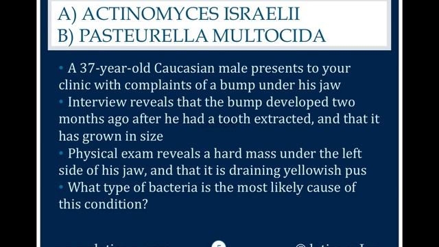 1950: Actinomyces Israelii or Pasturella Multocida смотреть онлайн
