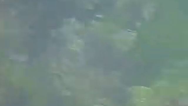 Отдых в Феодосии. Бронирование жилья на выбор. 7-978-756-2041