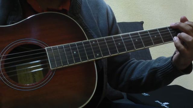 Ibanez Parlor PN12EVMS (2) смотреть онлайн