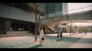 Разрушение к вашим услугам, 12 серия