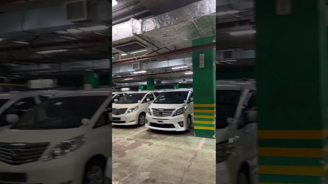 Toyota Alphard с Российским ЭПТС в Москве смотреть онлайн