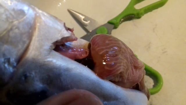 Глисты в скумбрии? Или паразиты?