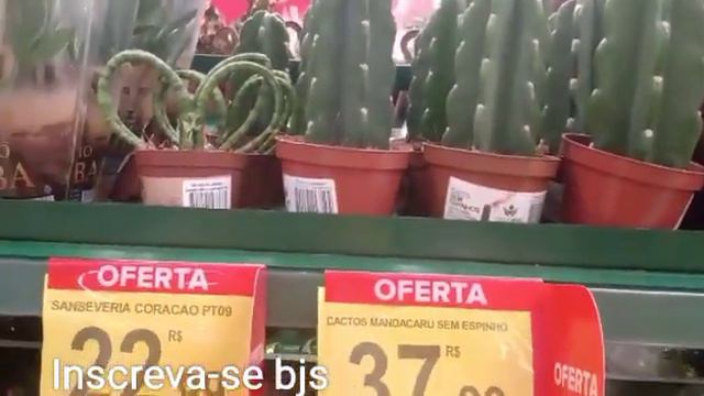 CARREFOUR PIRELLI S/ ANDRÉ FESTIVAL DE PLANTAS SHOW DE OFERTAS 🤩 смотреть онлайн