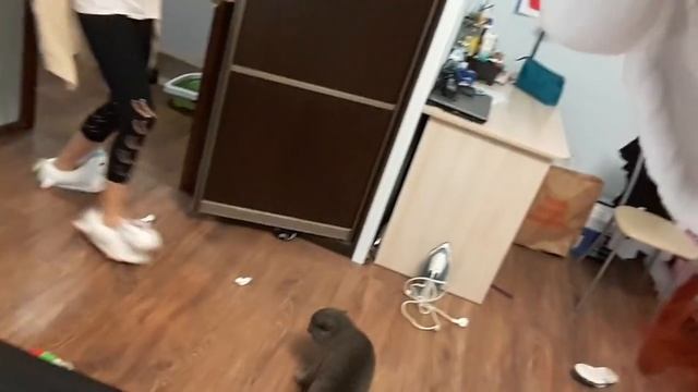 Купила пижаму единорог бракованный смотреть онлайн