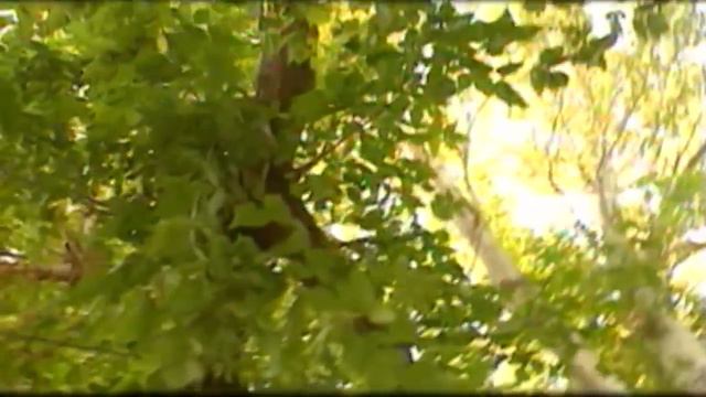 Охунжон Мадалиев - Шахзодангни кут | Ohunjon Madaliyev - Shahzodangni Kut