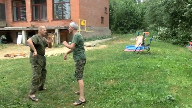 Universal combat system на базе смешанного стиля орла и змеи 36 смотреть онлайн