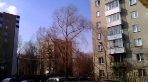 воздушная тревога   сирена(тестирование)