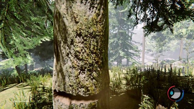 The FOREST Первое прохождение | СТРОИМ ЛАГЕРЬ | #4 смотреть онлайн