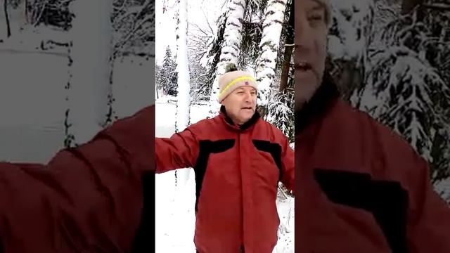 Зимнее стихотворение смотреть онлайн