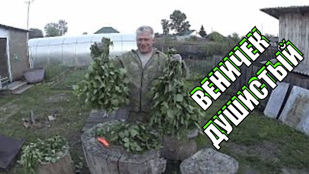 ВРЕМЯ БАННЫХ ВЕНИКОВ / ЖИЗНЬ В ДЕРЕВНЕ смотреть онлайн