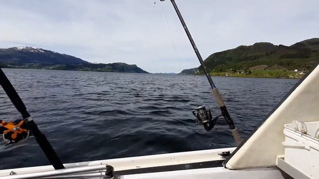 Неудачная рыбалка в норвежском фьерде. смотреть онлайн