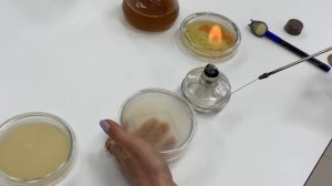 Посев истощающим штрихом на чашку Петри