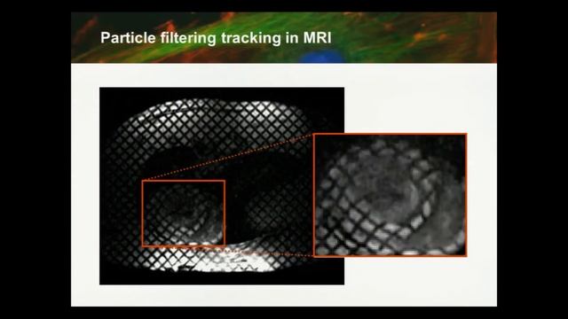 Basics of Image Processing: Object Tracking смотреть онлайн