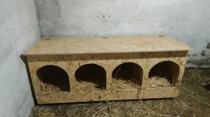 Самые удобные гнёзда для уток в нашем хозяйстве. Отлично  подойдут для гусей и кур.