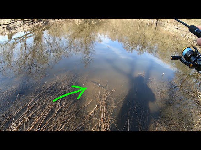 Первый "трофей" этого года! смотреть онлайн