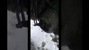 Раздатка  МТЗ-82  ремонт переделки рычага переключения