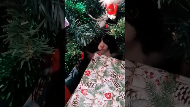 С НАСТУПАЮЩИМ РОЖДЕСТВОМ!!! смотреть онлайн