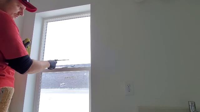 Дом и Дизайнеры