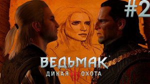 Поиски Цири. Ведьмак 3: Дикая Охота. (Игрофильм) # 2