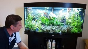 Жидкий углерод (СО 2) Dennerle в растительном аквариуме Juwel vision 260l. Акваскейпу 7 м. Выпуск15