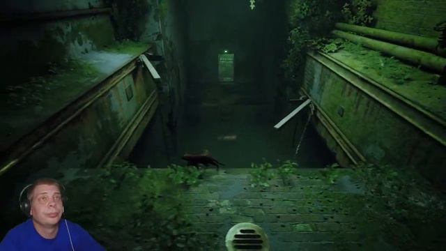 НОВОМ ГОРОДЕ ➤ STRAY ◉ Прохождение #4 смотреть онлайн