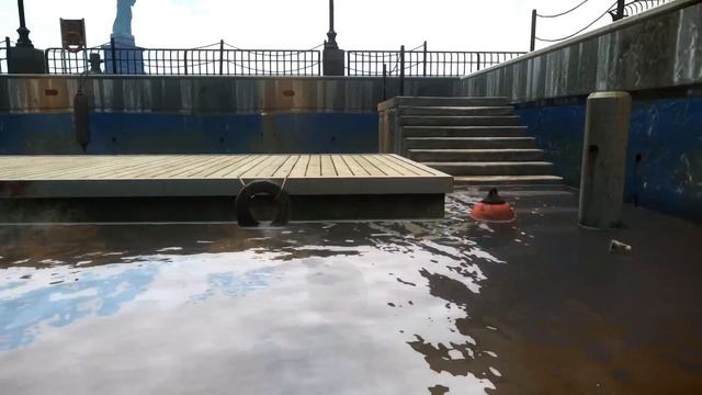 GTA 4 Epic Ragdolls Episode 8 (Euphoria Showcase)